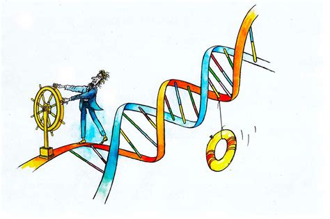 Repairing DNA 的图像结果