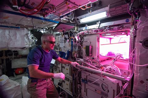 NASA X-Rack 的图像结果