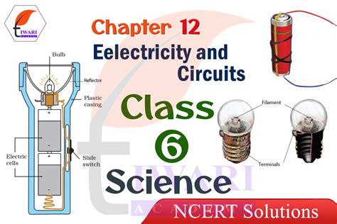 Image result for NCERT Class 6 Science Lesson 12 Worksheet
