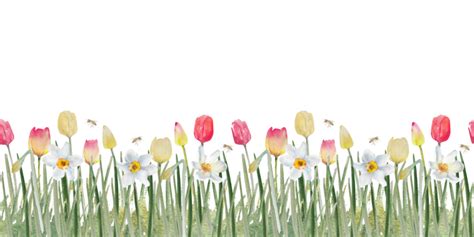 Image result for Spring Picture Border Texture PNG