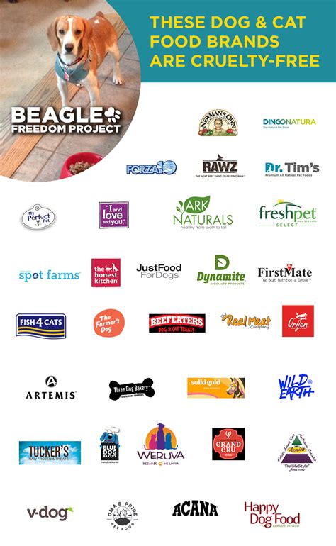 Dogs Taste Testing Food 的图像结果