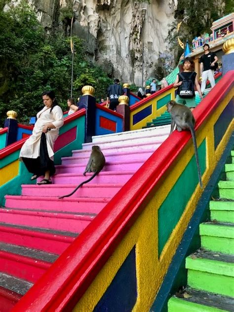 Image result for Guide to Batu API