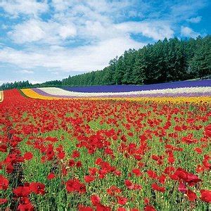 Furano City Museum - All You Need to Know BEFORE You Go (with Photos ...