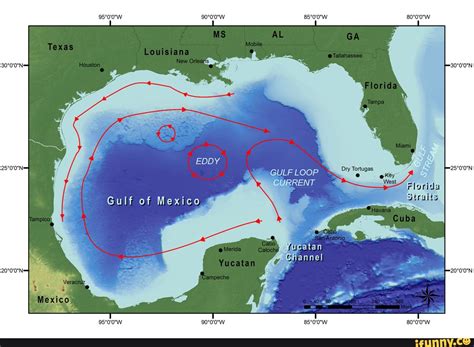 Image result for Loop Current
