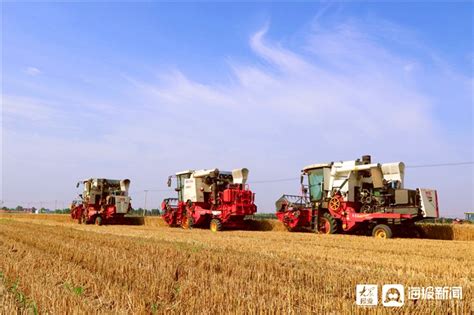 全国已收获小麦面积2.18亿亩