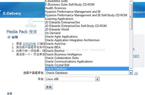 oracle的9i,Oracle 9i-ORACLE9i下载-Oracle 9i下载 V1.0简体中文企业版-完美下载-CSDN博客
