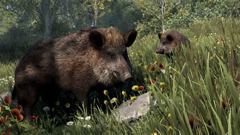 Image result for Rust Creatures