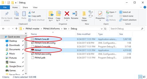 Image result for Pkhex Tutorial