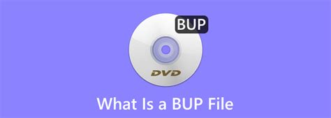BUP File Player 的图像结果