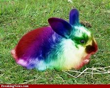Image result for Mean Easter Bunny