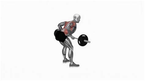 Barbell Bent Over Row Underhand at James Velarde blog