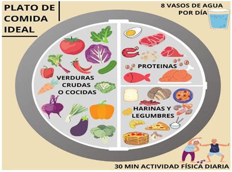 Cómo establecer una rutina alimentaria efectiva