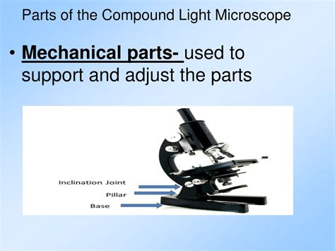 Mechanical Parts Of A Compound Light Microscope - Infoupdate.org