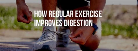 Image result for Digesting Exercise