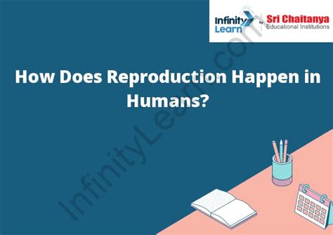 Image result for How Is Reproduction Done in Humans