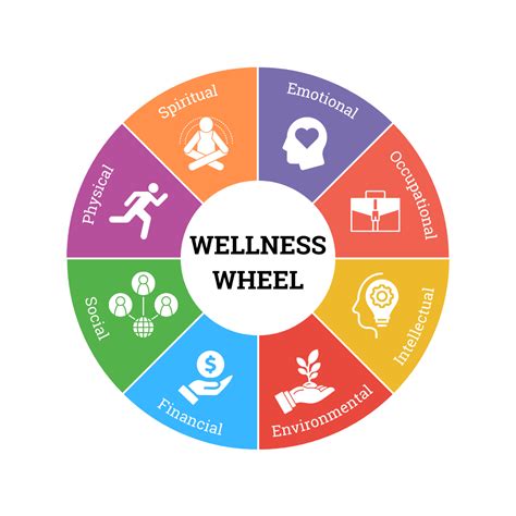 What is the wellness wheel and how to use it - davoci