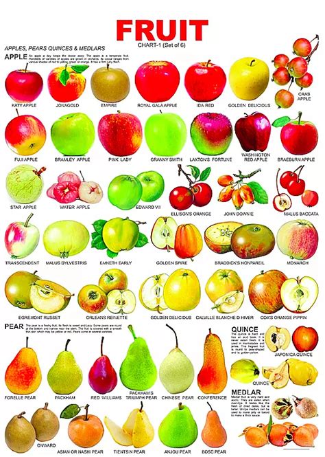 水果名字 各种进口水果名字 水果图片大全带名字