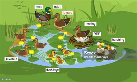 Image result for Rhythm Example Figurative Language Examples