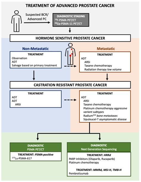 Advanced Prostate Cancer Life Expectancy 的图像结果