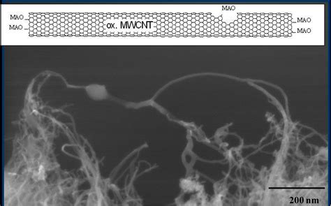 Metallocene Based Polyolefin Nanocomposites