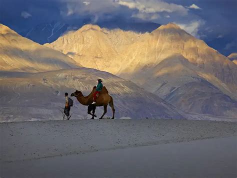 'Glamping' for every occasion! - Summer Special: Time to go 'Glamping ...