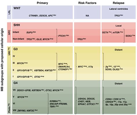 Drivers Underlying Metastasis and Relapse in Medulloblastoma and Targeting Strategies