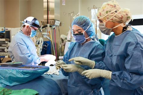 Careers at Fraser Health - New Graduate Nurse jobs