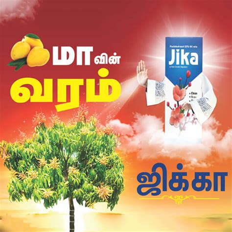 ஜிக்கா (Sumitomo Jika) மாவின் வரம்...