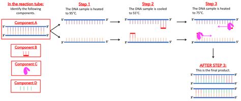 Basic Biotechnology 的图像结果