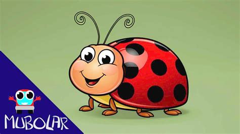 Lady Bug Doo Doo Doo | Fun Bug Song for Kids | Mosquito, Butterfly ...