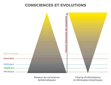 Conscience 的图像结果