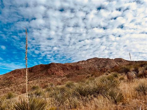 14 Top-Rated Hiking Trails In Texas