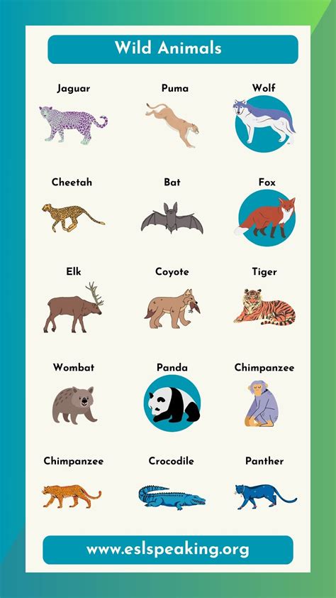 Wild Animal Images With Names