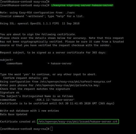Easy-Rsa OpenVPN 的图像结果