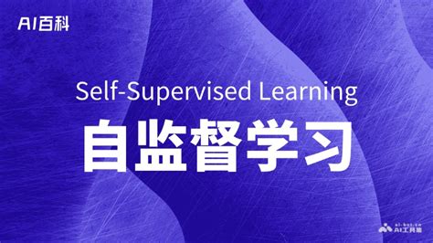 Self-Learning Algorithm Chart 的图像结果