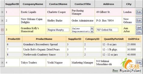 CodeIgniter DataGrid 的图像结果