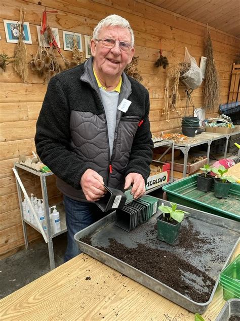 Memory Pathways 的图像结果