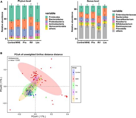 Frontiers | Comparison of the effects of probiotics, rifaximin, and lactulose in the treatment ...