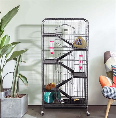 What Cage Is Best For A Ferret at Shelley Siegel blog