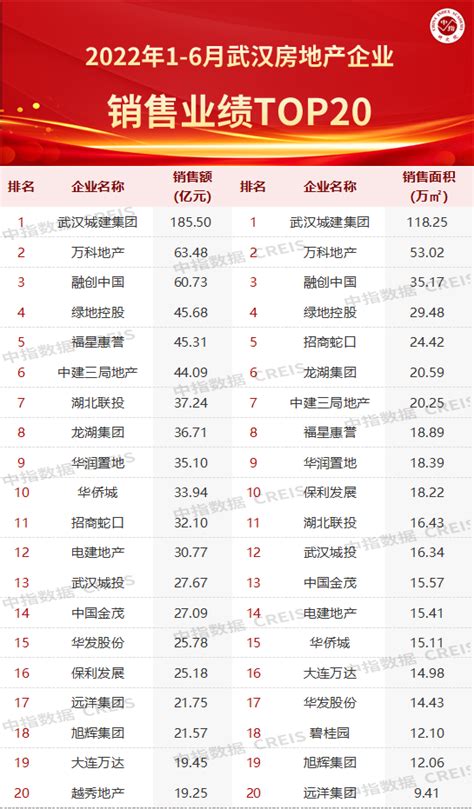 2022年上半年武汉房地产企业销售业绩TOP20|武汉市_新浪财经_新浪网