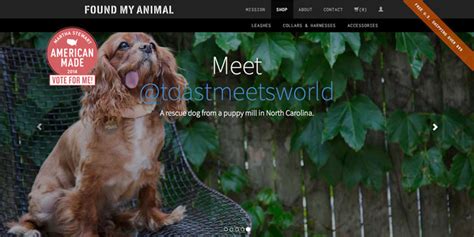 Make Bootstrap Site without Coding 的图像结果