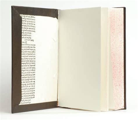 Stiff: The Curious Lives of Human Cadavers — Karen Hanmer Book Arts