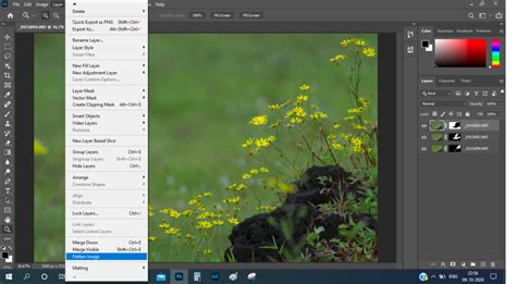Image result for Stacking Methods in Photoshop