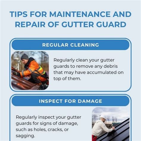 Image result for Gutter Maintenance Tips