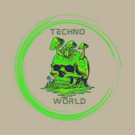Image result for Techo Music