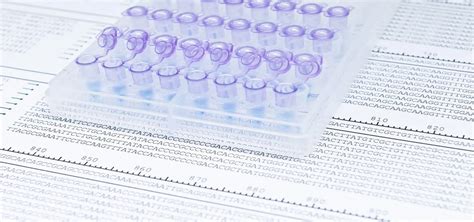 Science Daily 的图像结果