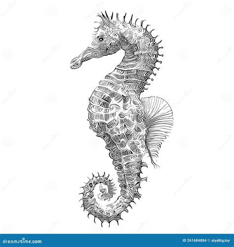 Seahorse Sketch