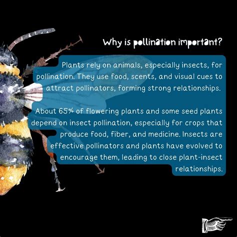 Why Is Pollination Important For Humans at Brandi Hayes blog
