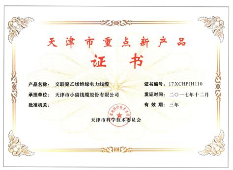 天津市景观协会会员证书-广东恒泰照明科技有限公司