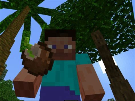 Image result for Minecraft Java Dynamic Trees